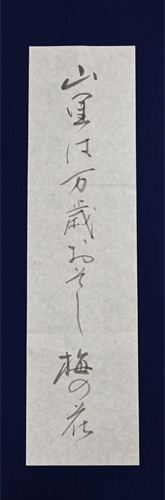 中２（仮名）